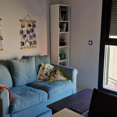 Holiday Studio *